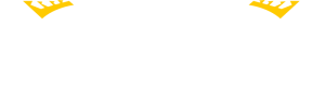 AslanExpress_Logo